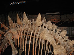 Klik hier voor meer...